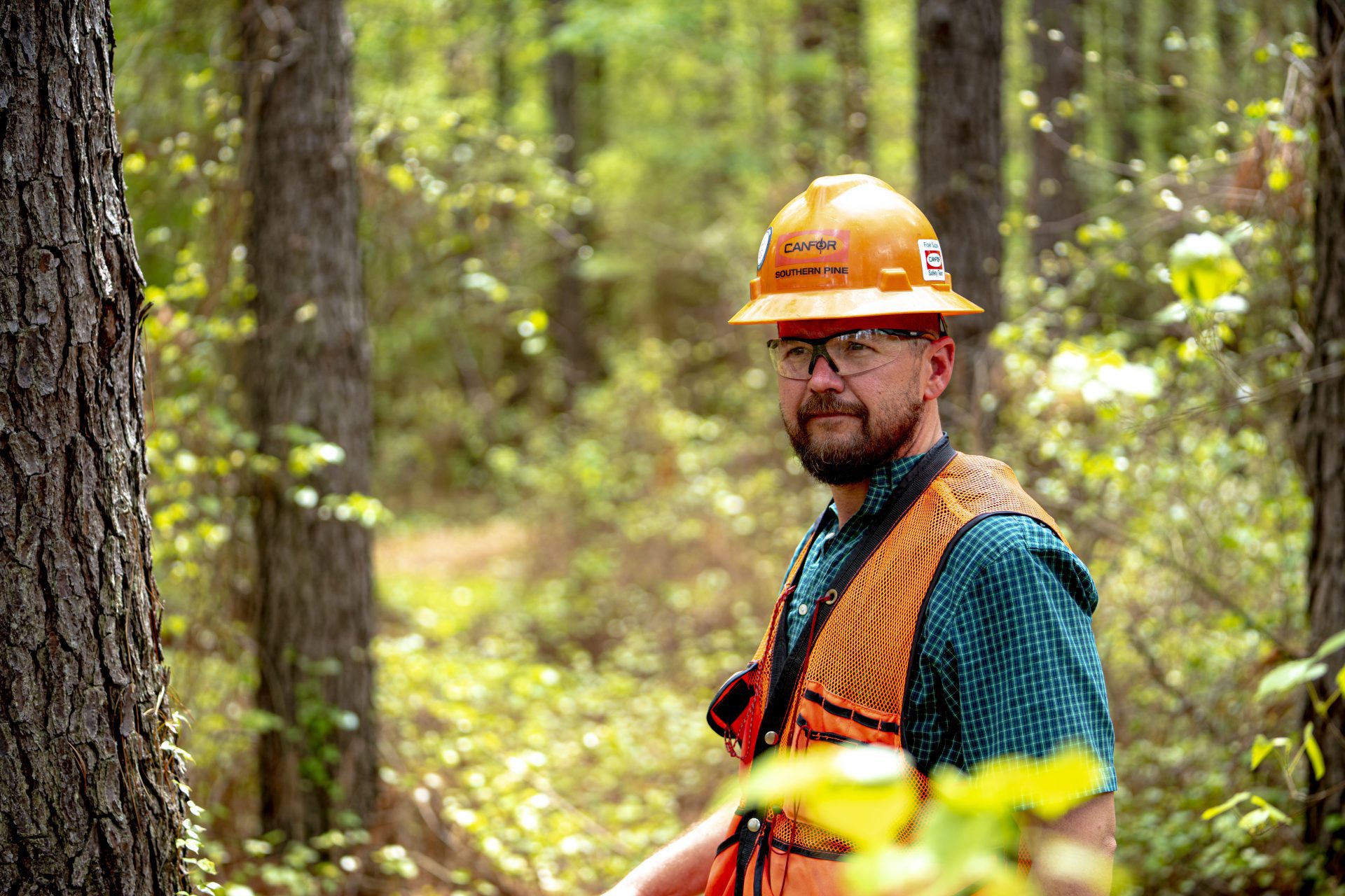 Canfor The West Harbour